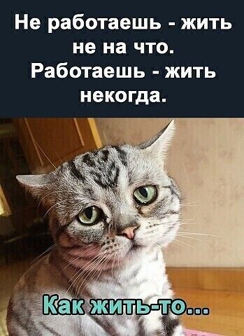 Не работаешь жить не на что Работаешь жить некогда