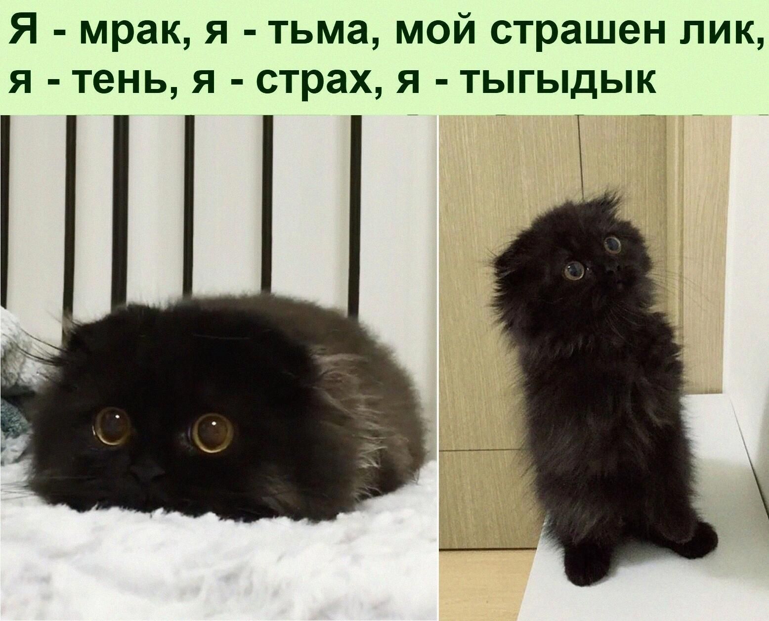 Я мрак я тьма мой страшен лик я тень я страх я тыгыдык