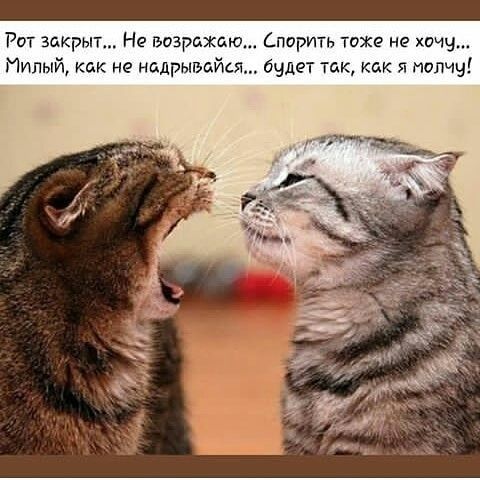 Рот закрыт На возрджаю Спорить тоже не хочу Милый как не надрывойсм очдет ты как я поли д тт