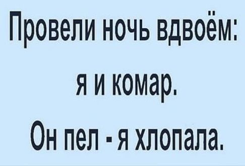 Провели ночь вдвоём я и комар Он пеп я хлопала