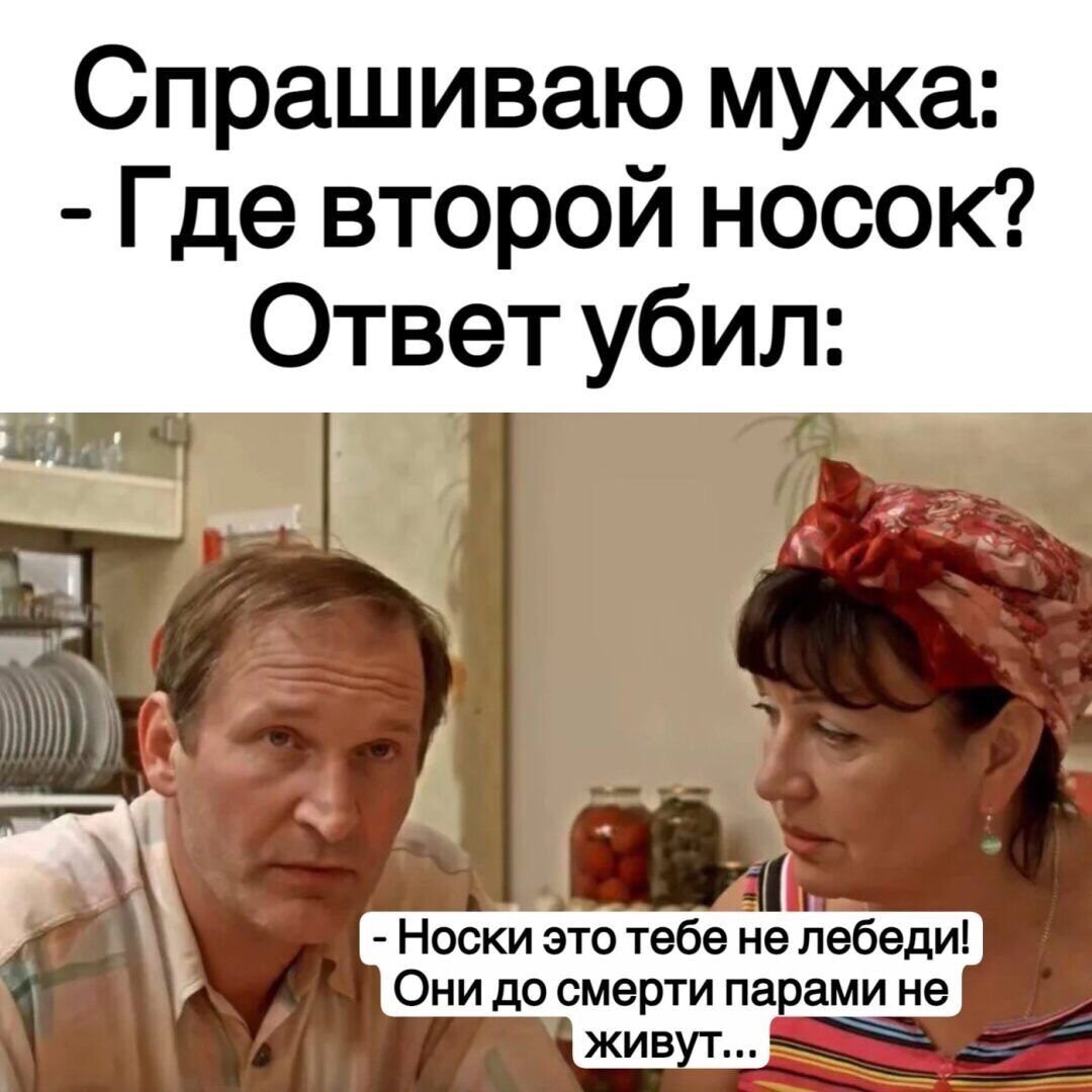 Спрашиваю мужа Где второй носок Ответ убил і Носки это тебе не лебеди Они до смерти парами не жив