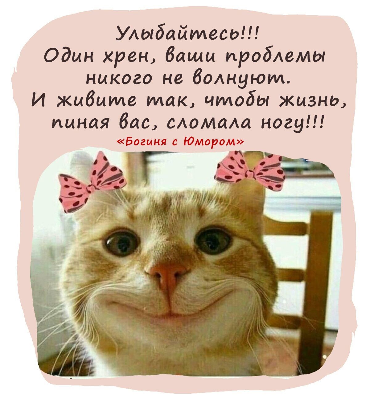 Улыбайтесо Один хрен бащц пробемы никого не волнуют И жцбцте так чтобы жизне пиная бас сАомаАа ногу Богиня с Юмором