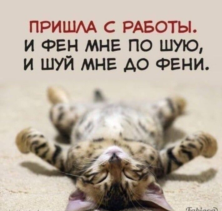 ПРИШАА С РАБОТЫ И ФЕН МНЕ ПО ШУЮ И ШУЙ МНЕ АО ФЕНИ