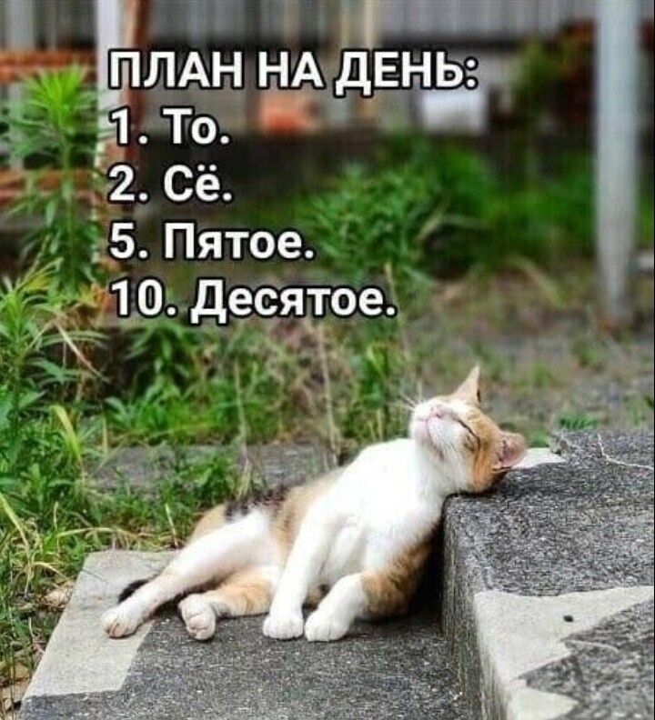 лы 0десятое