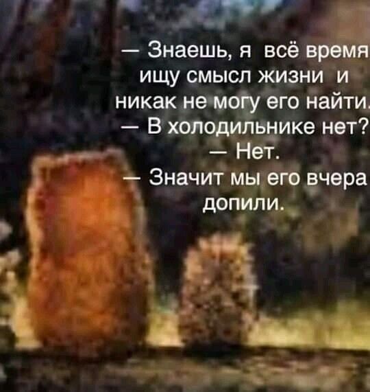 _т Знаешь я всё в ищу смысл жизни и никак не м его дайти Вхопо_ди ндике нет Нет 3 Значит мыдегб ёчера чё доп_или_ _ щ т и