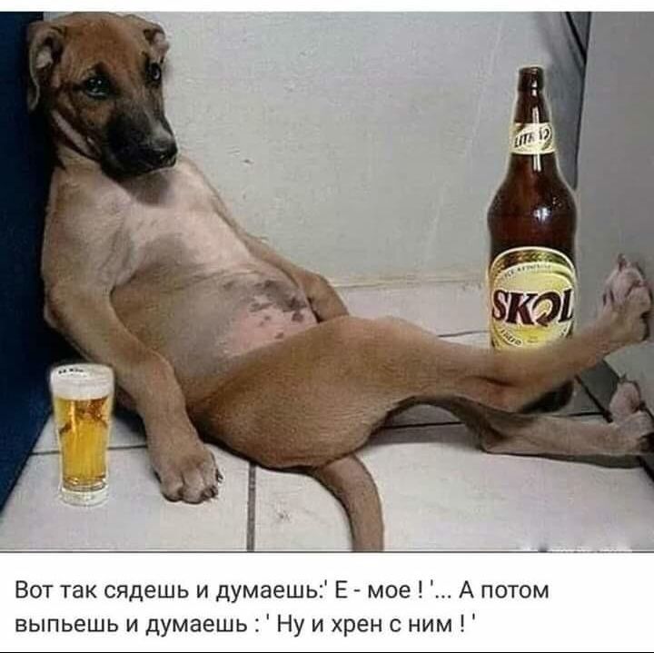 Вот так сядешь и думаешь Е мое А потом выпьешь и думаешь Ну и хрен с ним