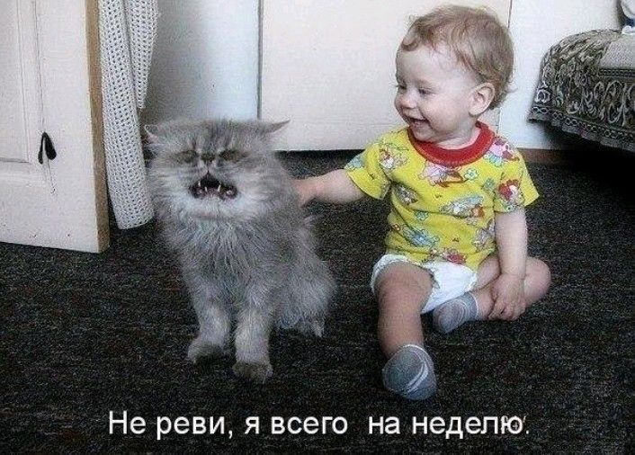 Не реви Я ВСЭГО НЭ неделю