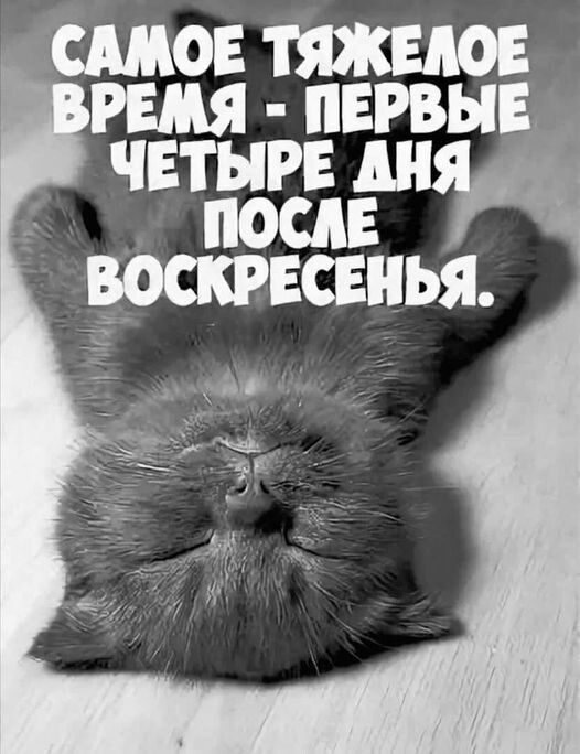 смо тяжцо имя чипы четыре дн посл противны