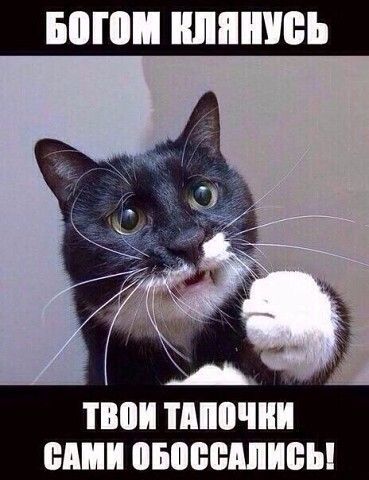 БШПШ клянусь ПЮИ ТМЮЧШ ШШШ ВЮЩНШИБЫ