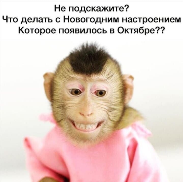 Не подскажите Что делать с Новогодним настроением Которое появилось в Октябре