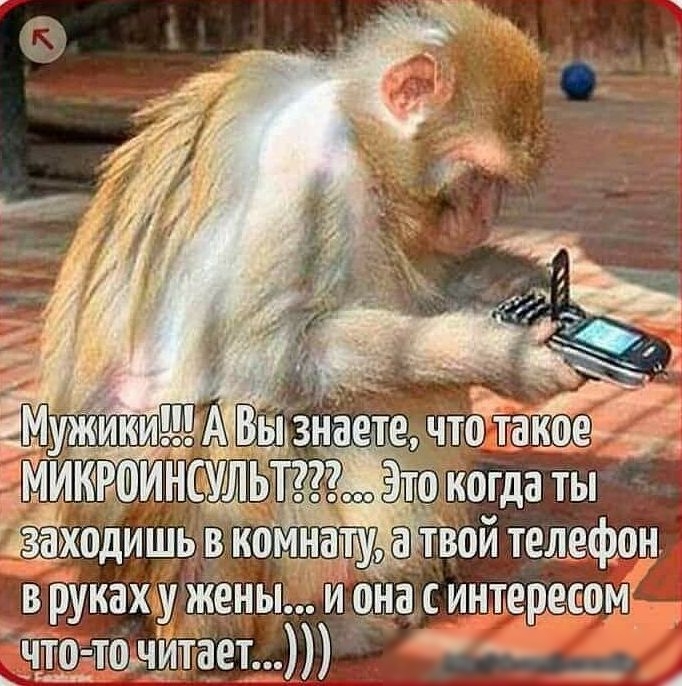 в рукаху Еньь инъекреёомк йдттггшодтает А