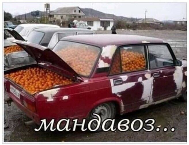 манда603