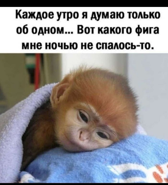 _ Каждое утро я думаю только об одном Вот какого фига мне ночью не спаЮ_сь то