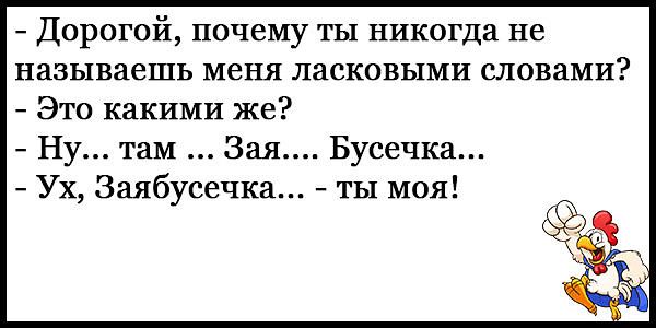 Дорогой почему ты никогда не называешь меня ласковыми словами Это какими же Ну там Зая Бусечка Ух Заябусечка ты моя