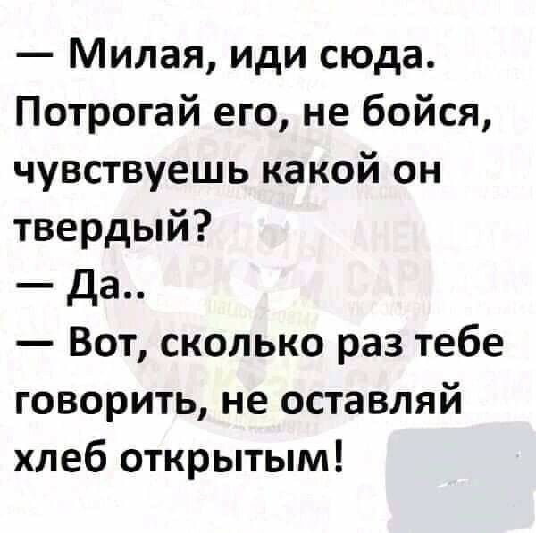 Милая иди сюда Потрогай его не бойся чувствуешь какой он твердый да Вот сколько раз тебе говорить не оставляй хлеб открытым