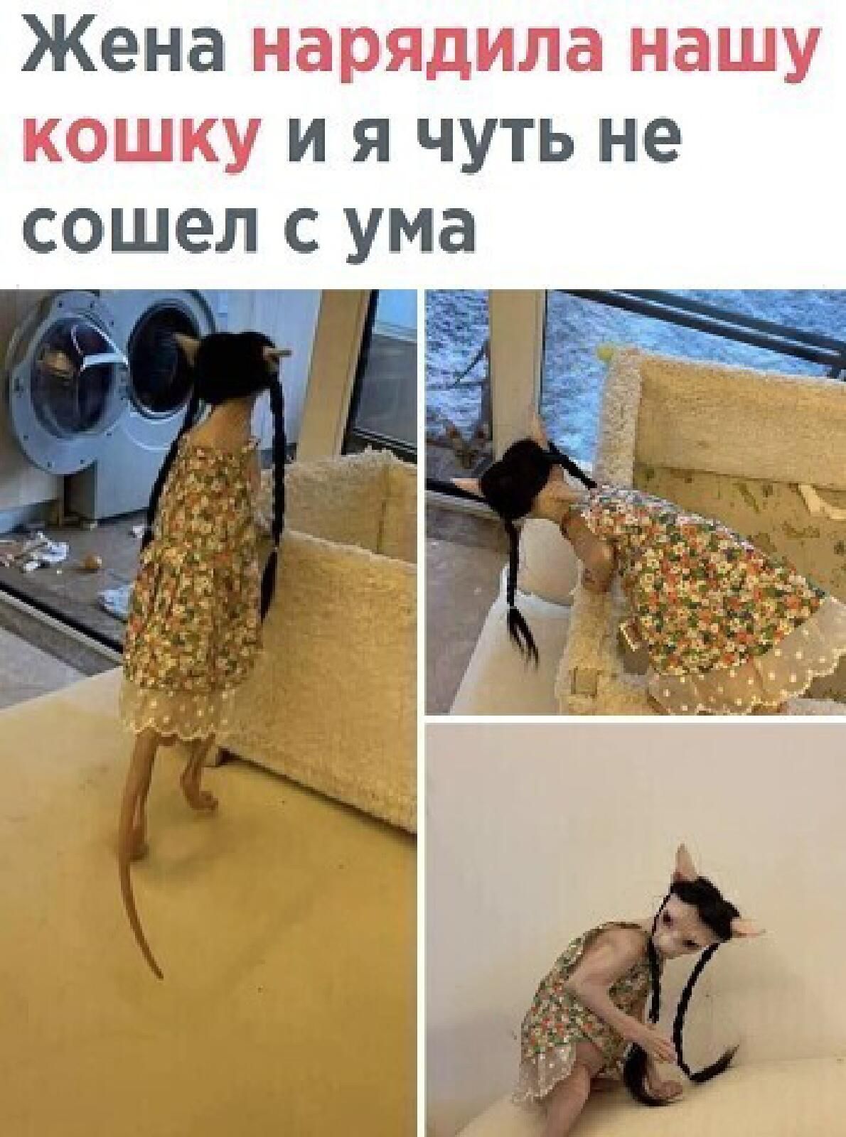 ЖЕНа а___ __ у И Я ЧУТЬ не СОШЁЛ С ума