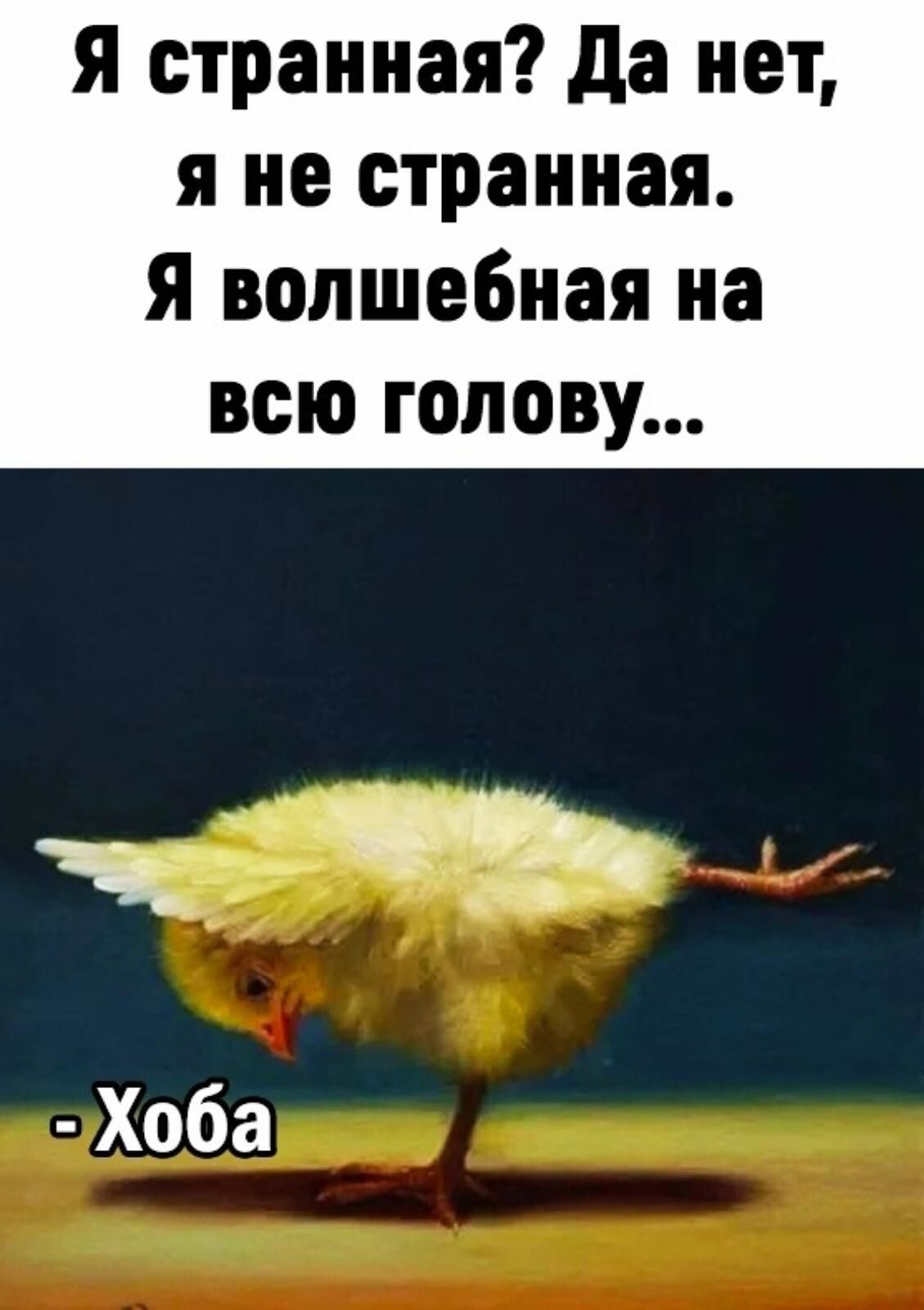 Я странная да нет я не странная я волшебная на всю голову