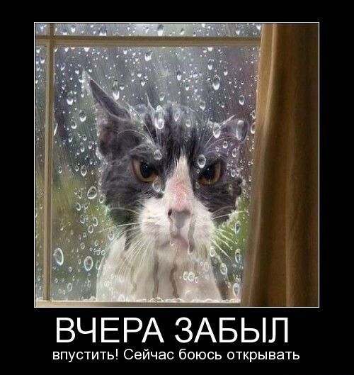 ВЧЕРА ЗАБЫЛ впустить Сейчас боюсь открывать
