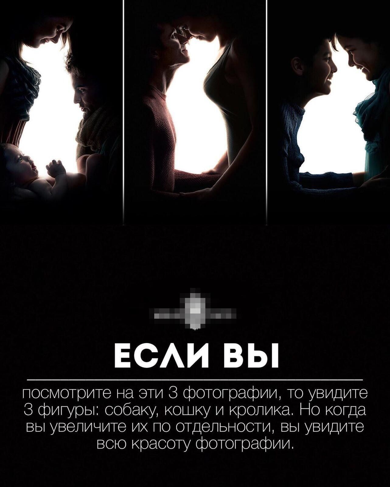 ЕСАИ вы посмотрите на эти 3 фотографии то увидите 3 фигуры собаку кошку и кролика Но когда вы увел чита их по отдалэности вы увидите всю красоту фотографии
