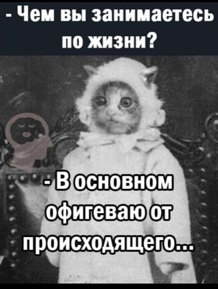 Чем вы занимаетесь по жизни Восновном и ап __ происх0дящегоЁ _