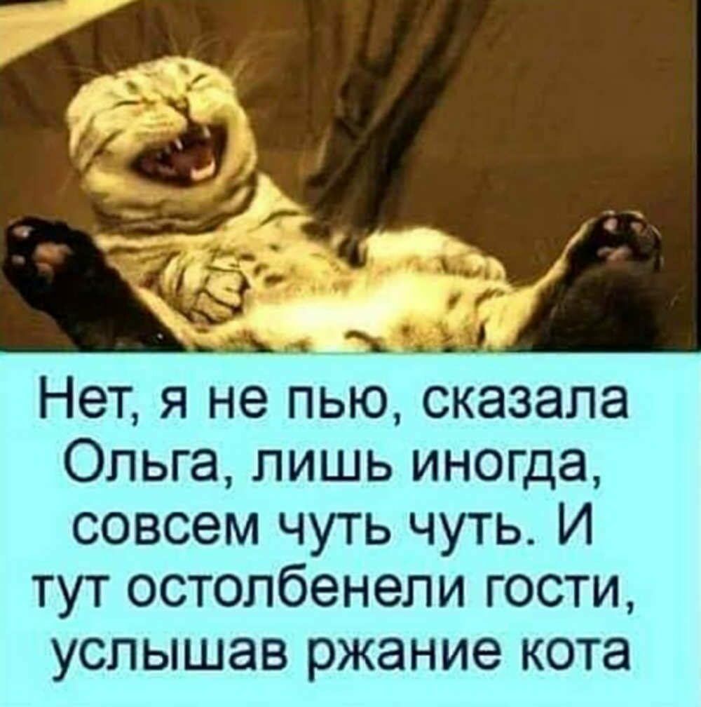Ап д _ Нет я не пью сказала Ольга лишь иногда совсем чуть чуть И тут остолбенели гости услышав ржание кота