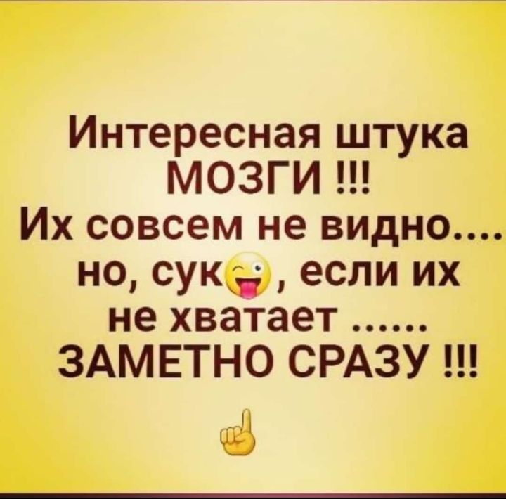 Интересная штука МОЗГИ Их совсем не видно но сукд если их не хватает ЗАМЕТНО СРАЗУ МЭ