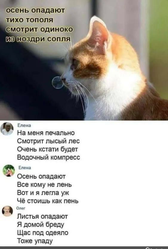 сень спадают Елеиа На меня печально Смотрит лысый пес Очень кстати будет Водочный компресс _ Осень спадают Все кому не лень Вот и я пегпа уж Чё стоишь как пень д Листья спадают Я домой бреду Щас под одеяло Тоже упаду