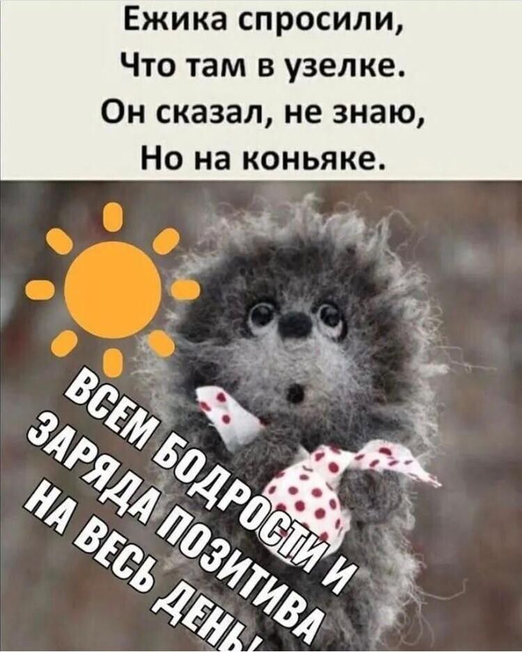 Ежика спросили Что там в узел ке Он сказал не знаю Но на коньяке