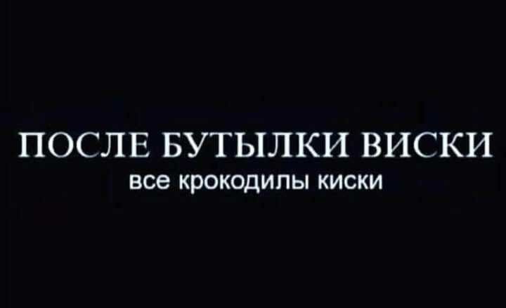 ПОСЛЕ БУТЫЛКИ ВИСКИ все КРОКОДИПЫ КИСКИ