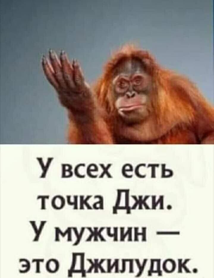 У всех есть