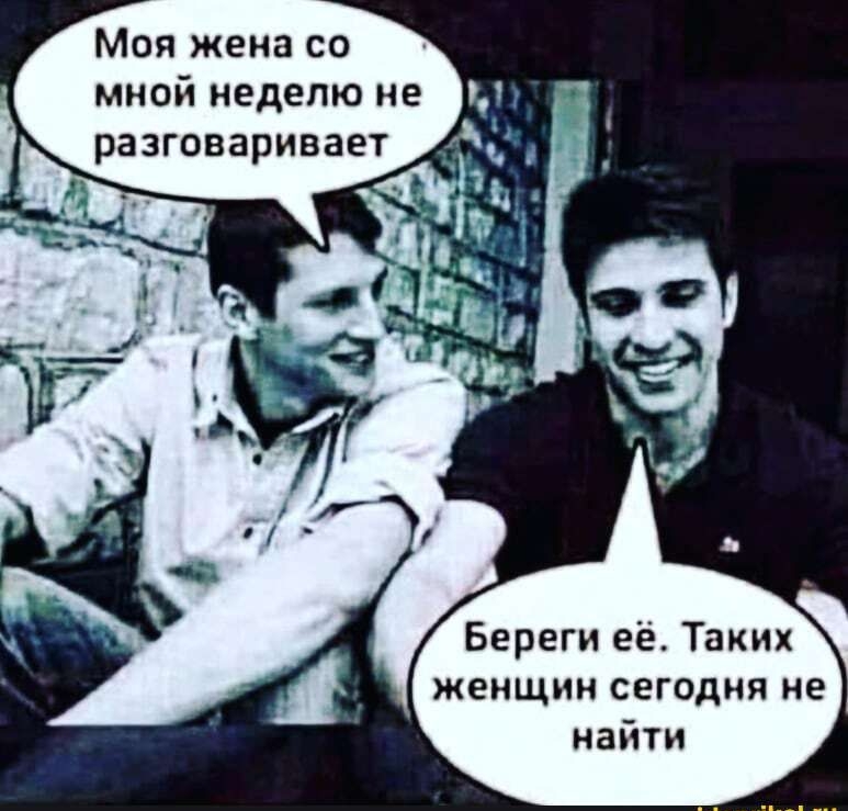 Моя жена со мной неделю не разговаривает Береги её Таких женщин сегодня не найти