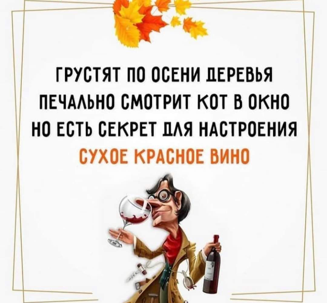 грустят по осени деревья и пвчмьно смотрит кот в окно но Есть секрет пАя ндстровния сухое крдснос вино