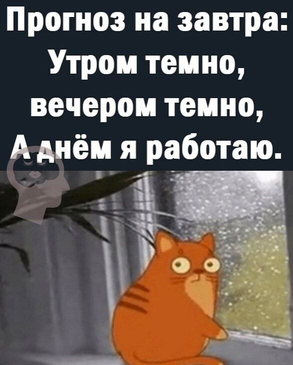 Прогноз на завтра Утром темно вечером темно А днём я работаю