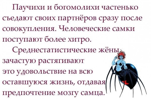 Паучихи и ботомолихи частенько съедают своих партнёров сразу после совокупления Человеческие самки поступают более хитро Среднестатистические жёнь зачастую растягивают это удовольствие на всю оставшуюся жизнь отдавая предпочтение мозгу самца