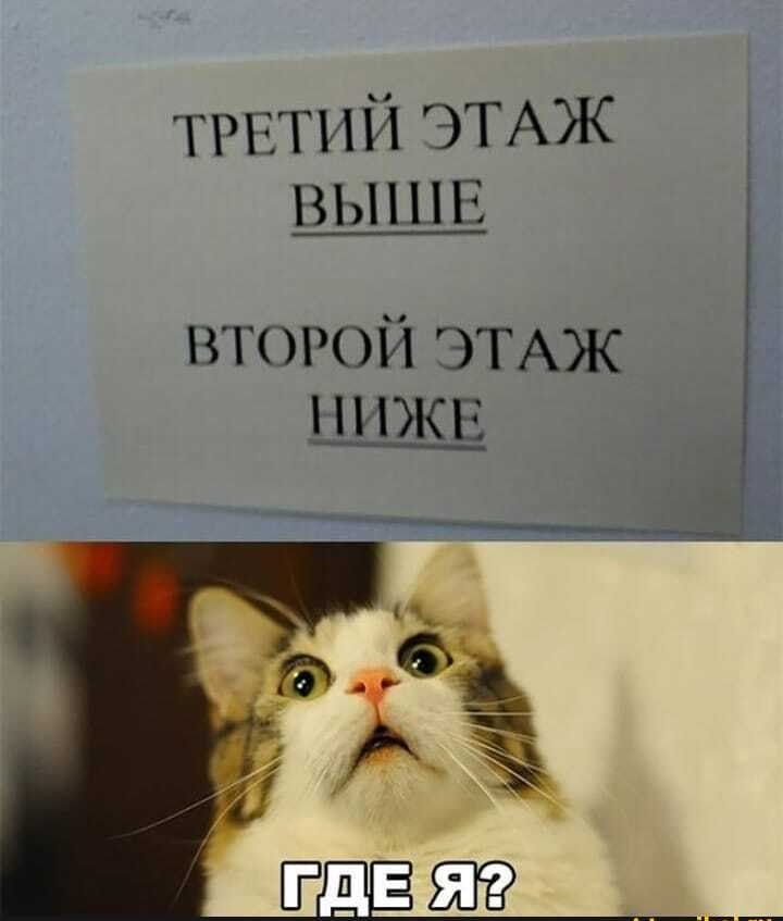 ТРЕТИЙ ЭТАЖ ВЫШЕ второй ЭТАЖ шжв