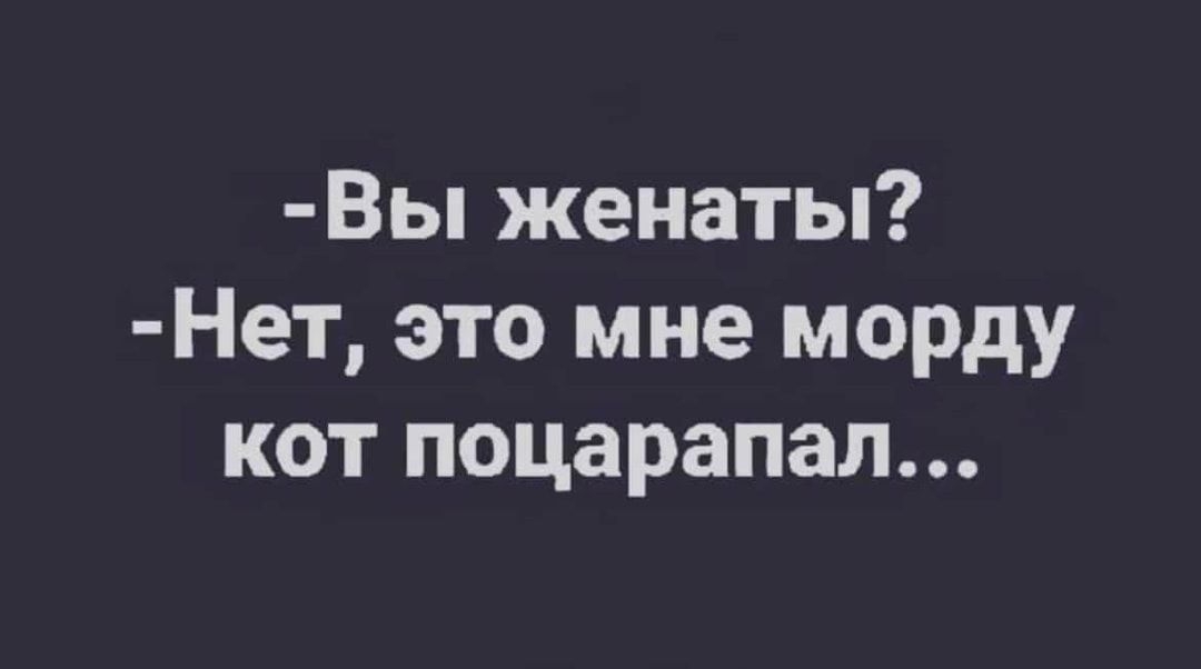 Вы женаты Нет это мне морду кот поцарапан