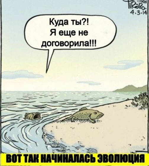 Куда ты Я еще не договорила