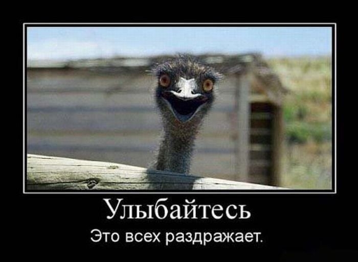 _ 7 __ Улыбайтесь ЭТО ВСЭХ раздражает