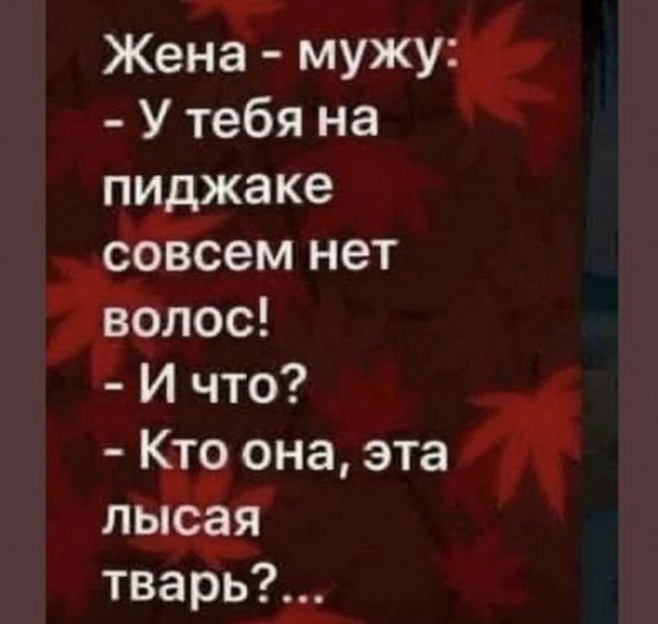 Жена мужу __ У тебя на пиджаке совсем нет волос И что Кто она эта