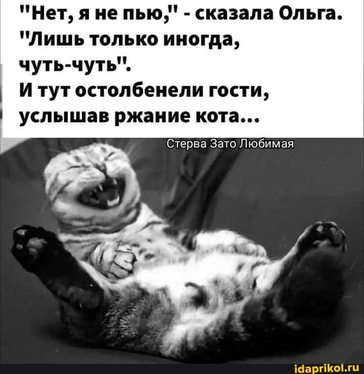 Нет я не пью сказала Ольга Лишь только иногда чуть чуть И тут остолбенели гости услышав ржаиие кота Стерва Зато Любимая