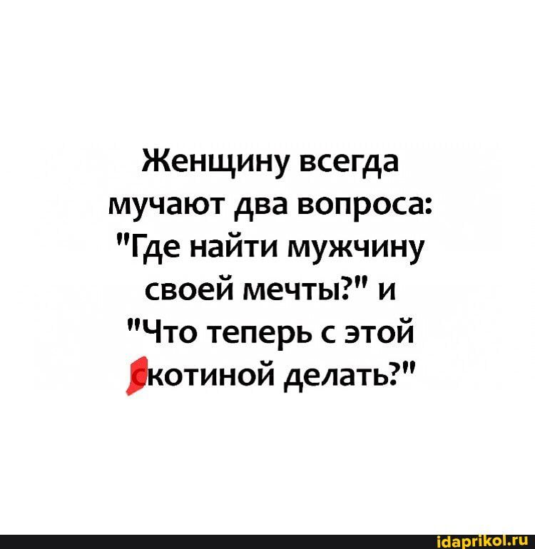 Женщину всегда мучают два вопроса Где найти мужчину своей мечты и Что теперь с этой котиной делать