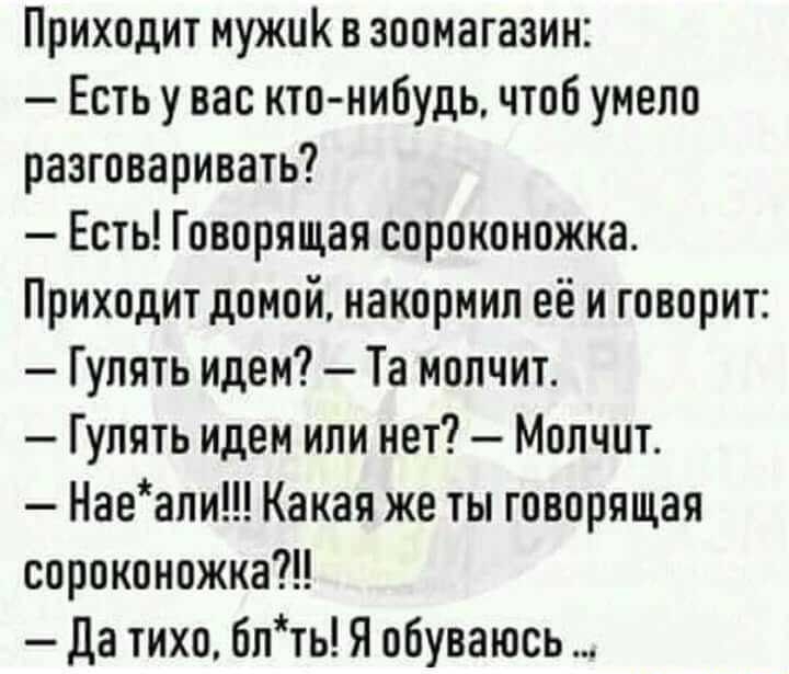 Приходит мужик в зоомагазин Есть у вас кто нибудь чтоб умело разговаривать Есть Говорящая сороконожка Приходит домой накормип её и говорит Гулять Идем Та молчит Гупять Идем или нет Молчит Наеапи Какая же ты говорящая сороконожка да тихо блть Я обуваюсь