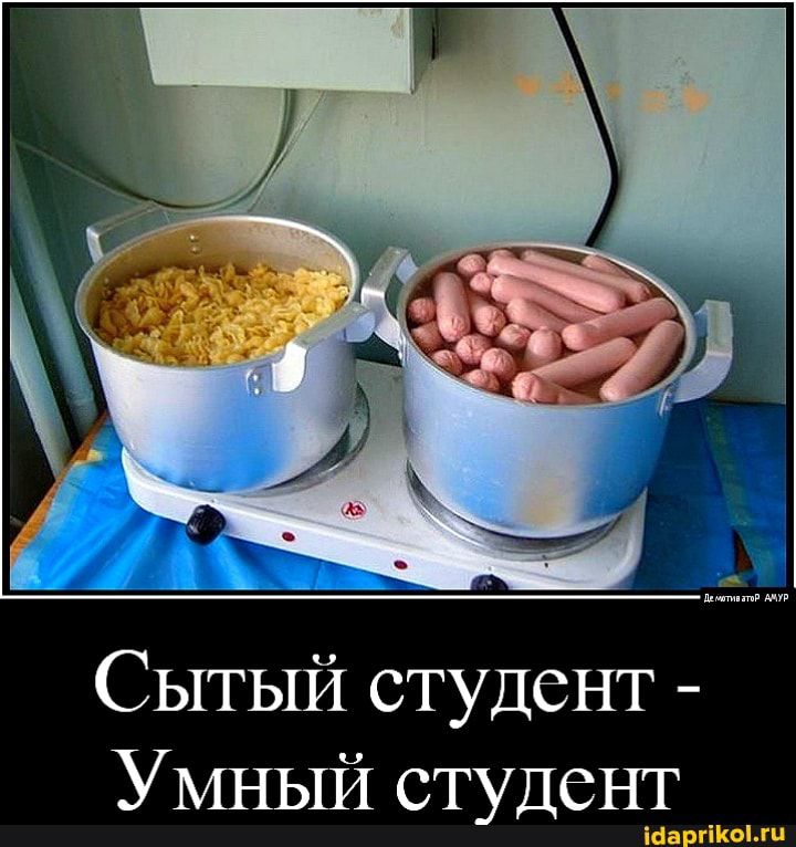 Сытый студент УМНЫЙ студент Ма гогп