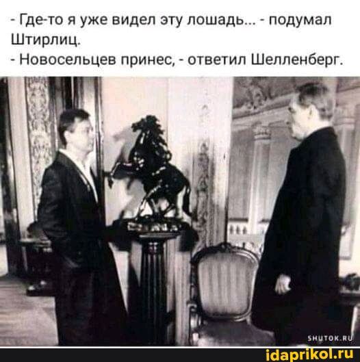 Где то я уже видел эту лошадь подумал Штирлиц _ Новосельцев принес _ ответил Шелленберг