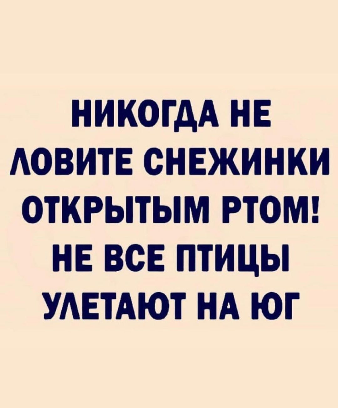 НИКОГДА НЕ АОВИТЕ СНЕЖИНКИ ОТКРЫТЫМ РТОМ НЕ ВСЕ ПТИЦЫ УАЕТАЮТ НА ЮГ