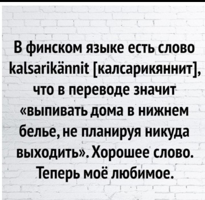 В финском языке есть слово КаізагіКаппіг калсарикяннит что в переводе значит выпивать дома в нижнем белье не планируя никуда выходить Хорошее слово Теперь моё любимое