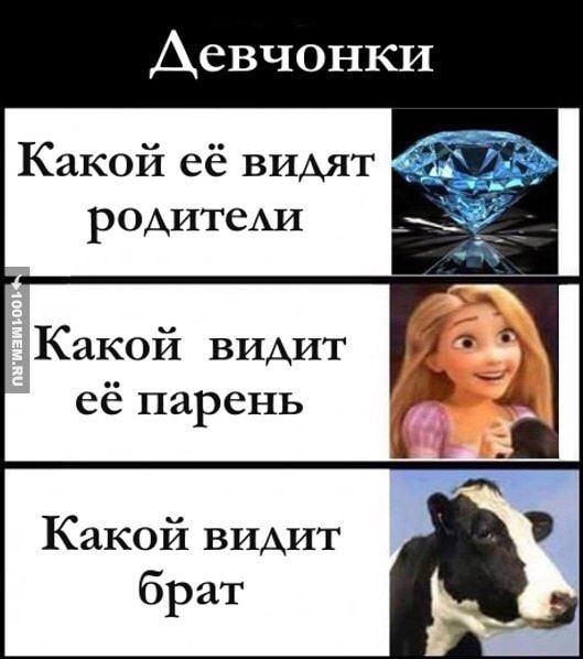 Девчонки Какой её видят родитеди Какой видит её парень Какой видит брат