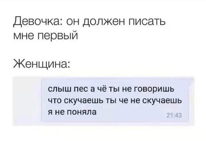 Девочка он должен писать мне первый Женщина слыш пес а чё ты не говоришь что скучаешь ты че не скучаешь я не поняла