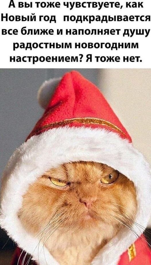 А вы тоже чувствуете как Новый год подкрадывается все ближе и наполняет душу радостным новогодним настроением Я тоже нет