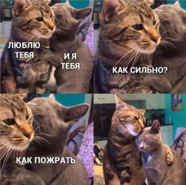 КАК ИЛБНО _а